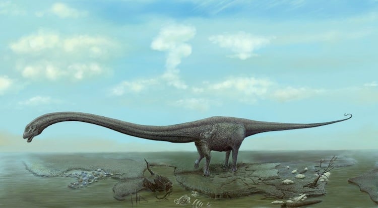 Mamenchisaurus