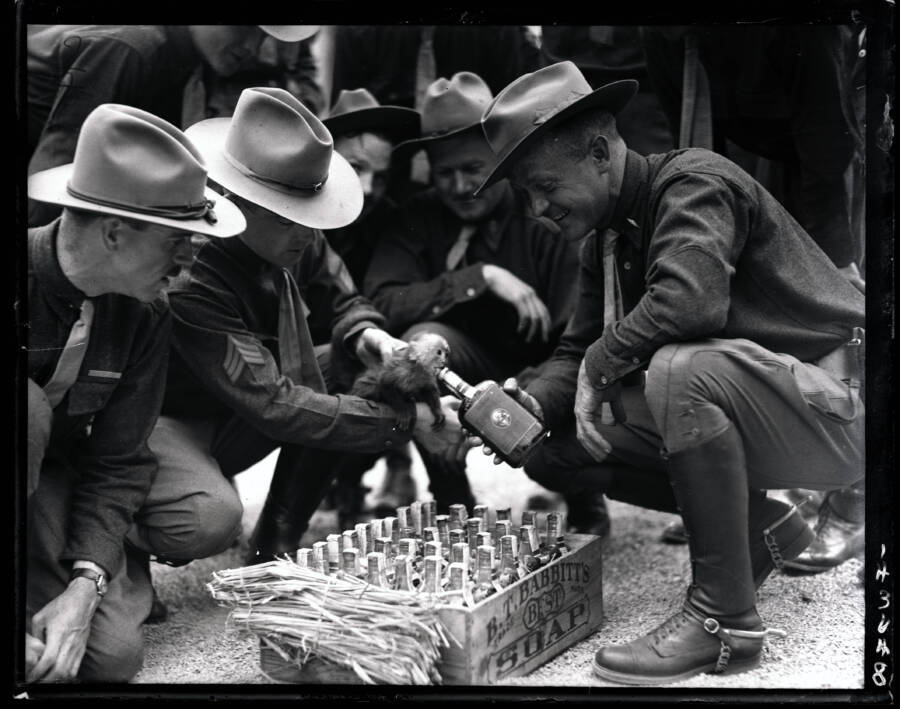 Prohibition Agents Giving Alcohol To A Monkey