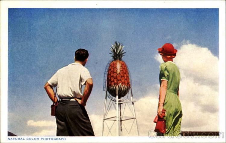 Pineapple Water Tower