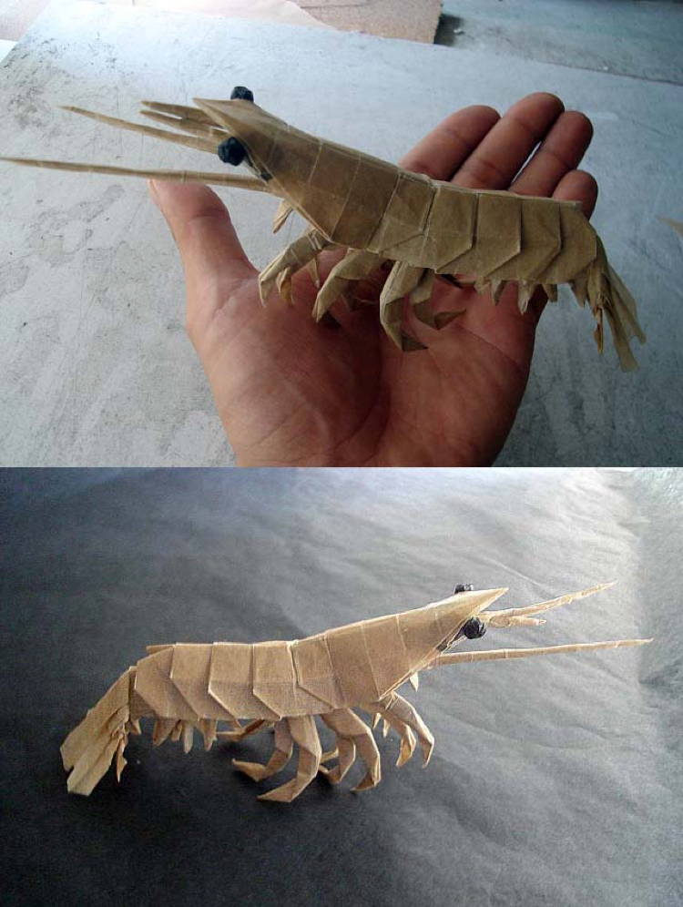 Incredible Origami Crustacean