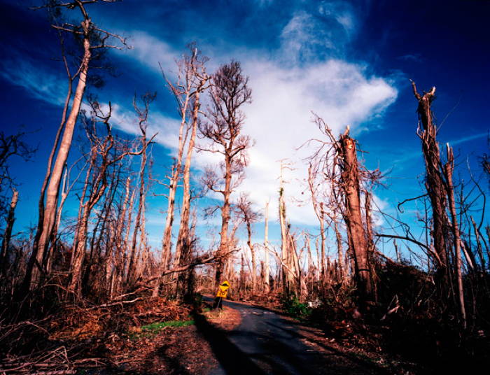 Climate Change's Impact Queensland Damage