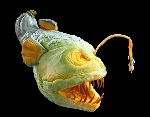 Jack-O-Lantern Angler Fish