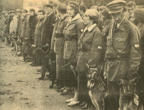 Soviet Dog Training