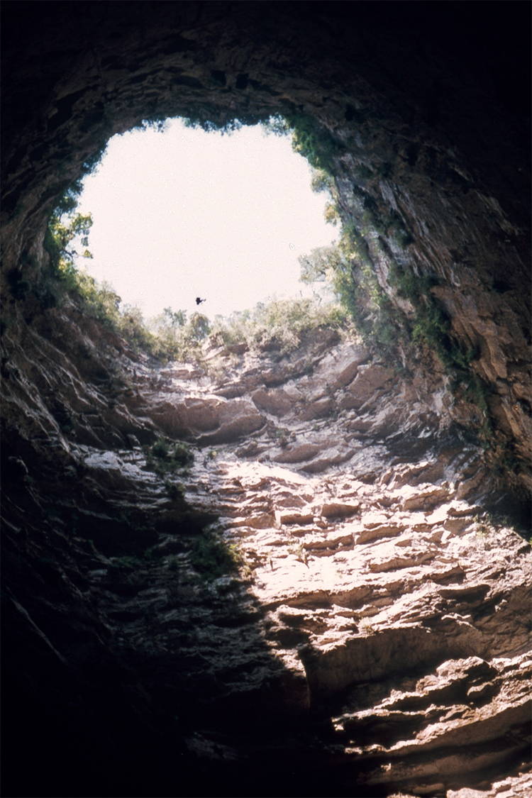 Cave Of Swallows