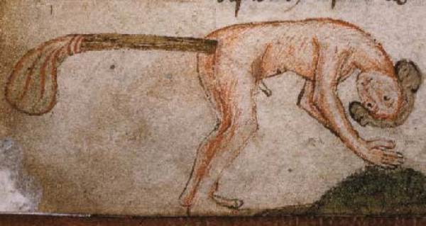 The Most Painful Medical Procedures Of Medieval Times