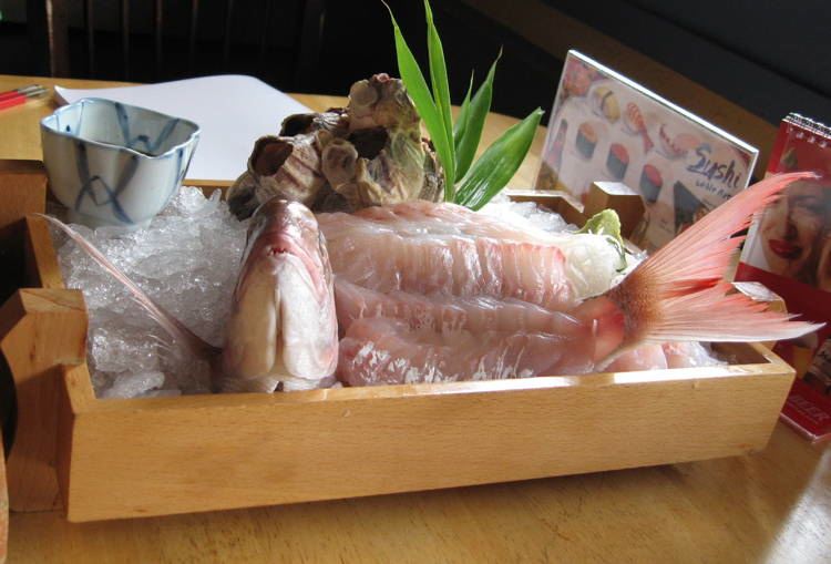 Bizarre Seafood Ikizukuri 1