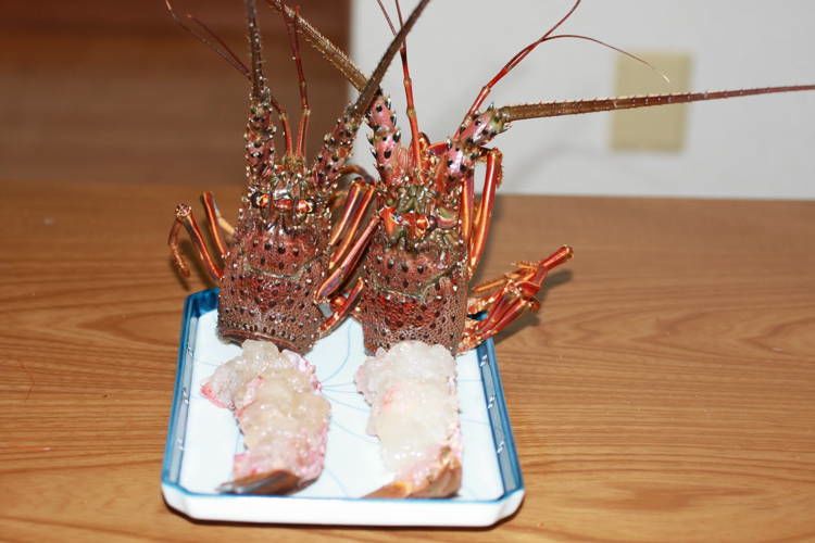 Bizarre Seafood Ikizukuri 2