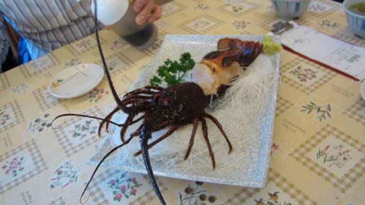 Bizarre Seafood Odori 2