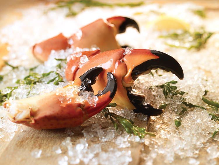 Bizarre Seafood Stone Crab 2
