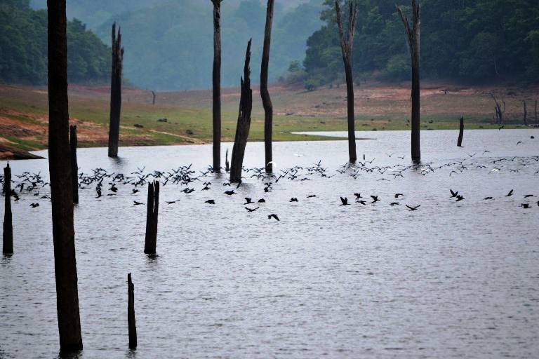 Periyar Lake Photograph