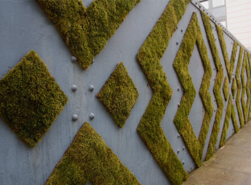Moss Graffiti Patterns
