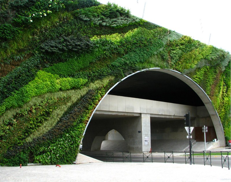 Moss Gardens