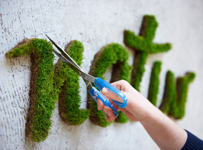 Moss Graffiti Moss Nature