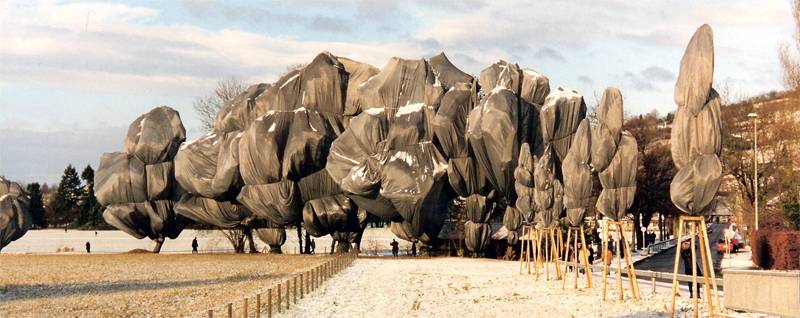 Incredible Christo Works Trees 