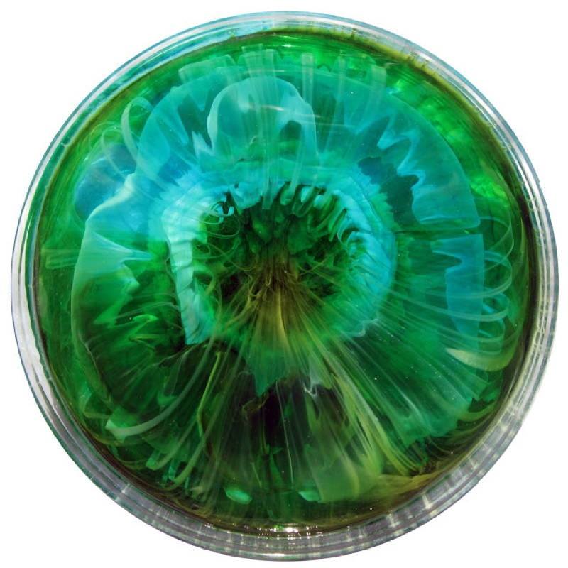 Petri Art 1
