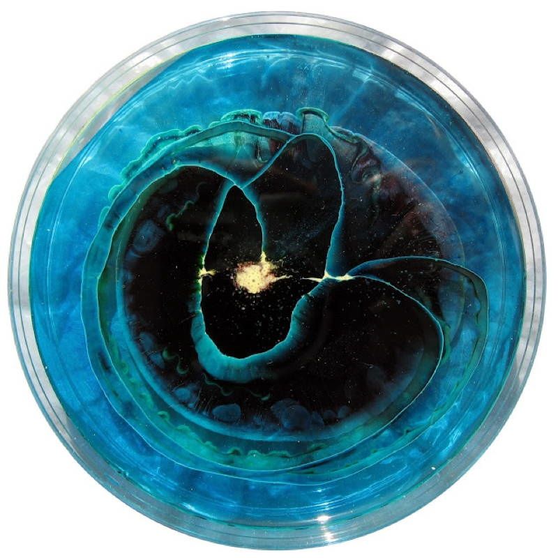 Petri Art 3