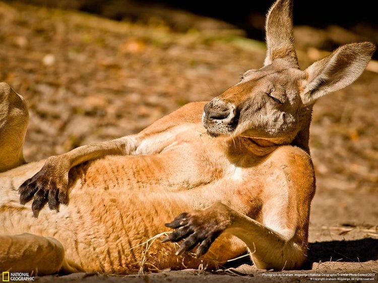 National Geographic Contest 2