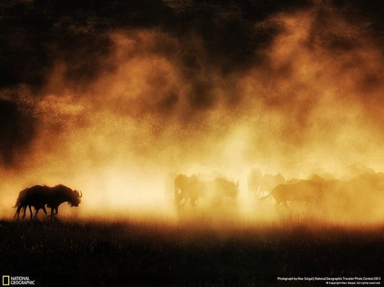 National Geographic Contest 3