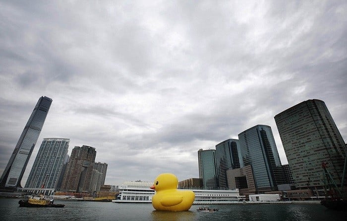 Giant Floating Duck