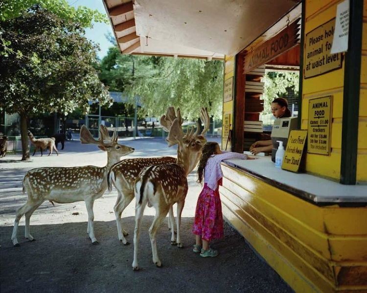 Animal Girl 1