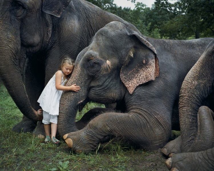 Animal Girl 2