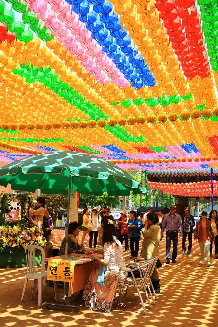 Colorful Canopy 1