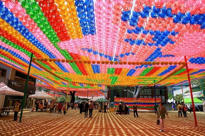 Colorful Canopy 2