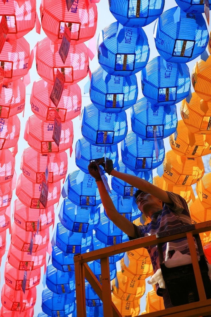 Colorful Canopy 3