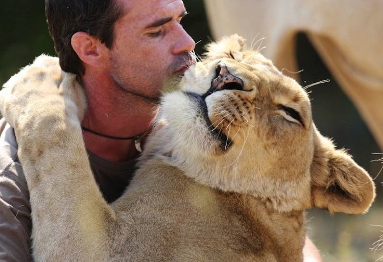 Lion Whisperer 1