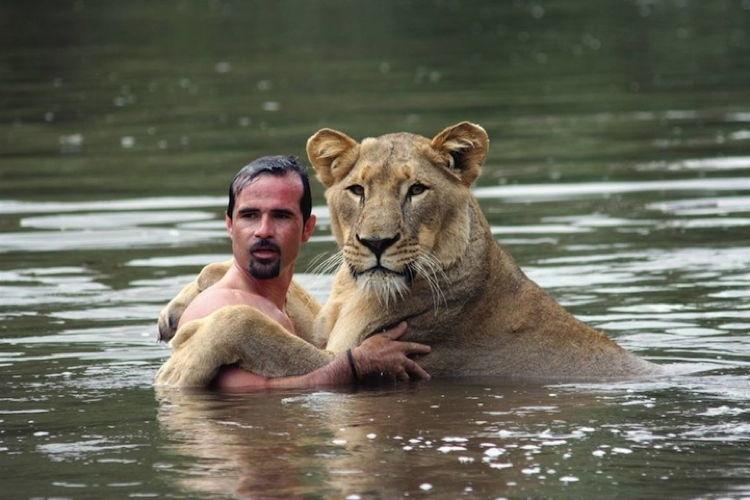 Lion Whisperer 3