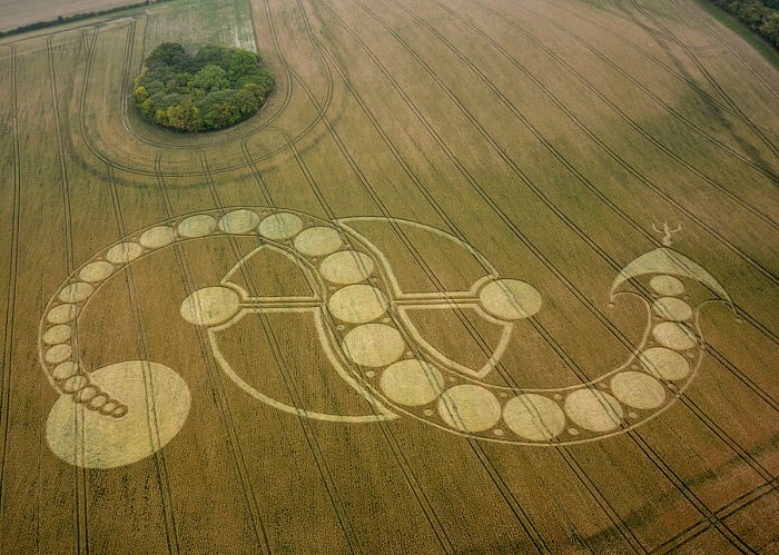Crop Circle Photograph