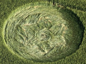 The World's Coolest And Real Crop Circles