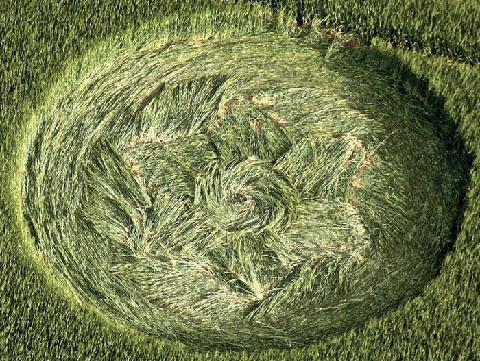 Are Crop Circles Real