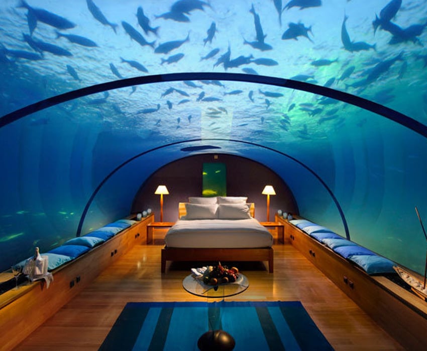 Aquarium Art