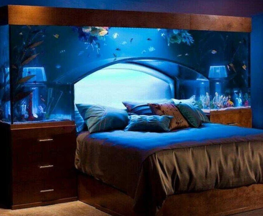 Bedroom Fishtank