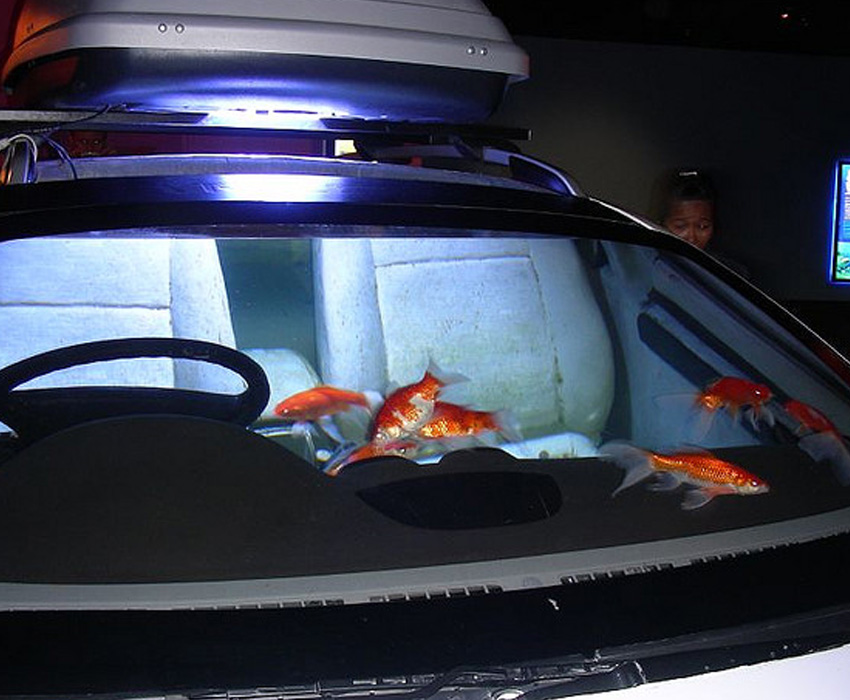 Car Tank