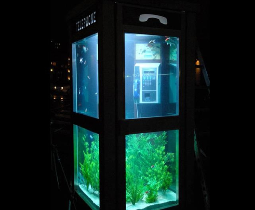 Aquarium Art Phone Box