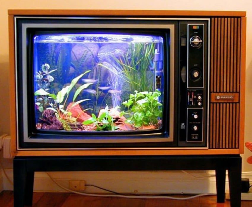 Aquarium Art Television Tank