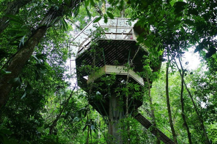 Sustainable Treehouse 2