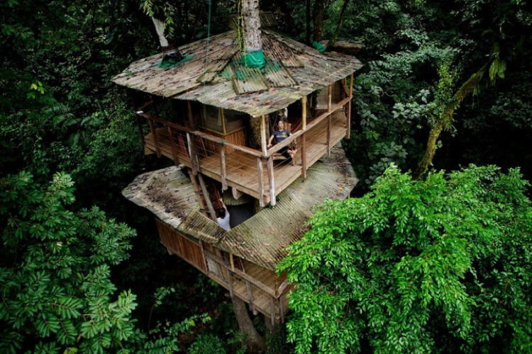 Sustainable Treehouse 3