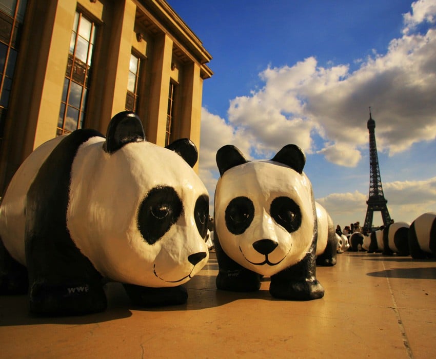 Bizarre PR Stunts Paris Pandas 2