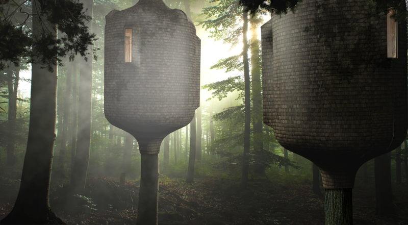 Embryo Tree House 2