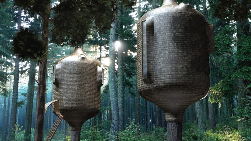 Embryo Tree House 3