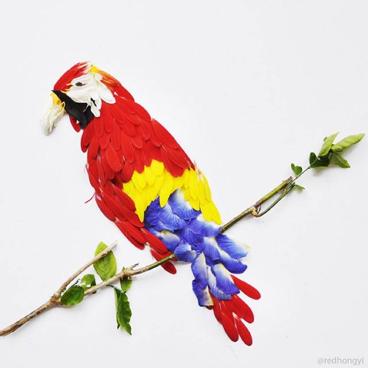 Flower Birds 2