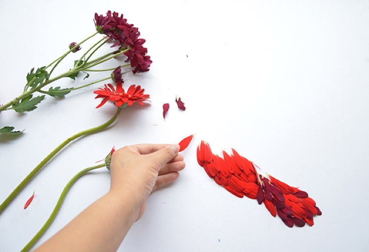 Flower Birds 3