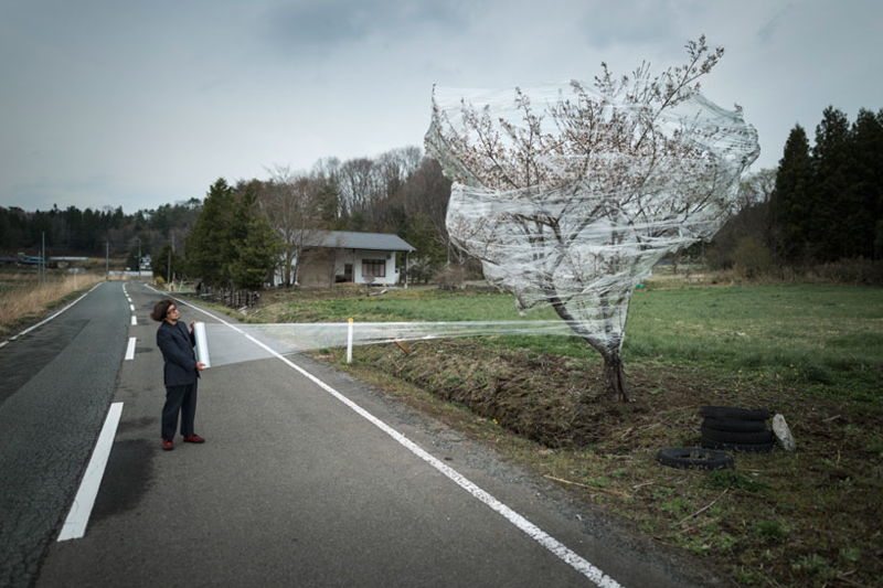 Fukushima Devastation Tree