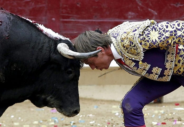Legacy Of Bullfighting Head To Head