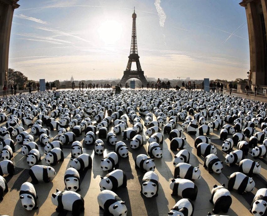 Bizarre PR Paris Pandas