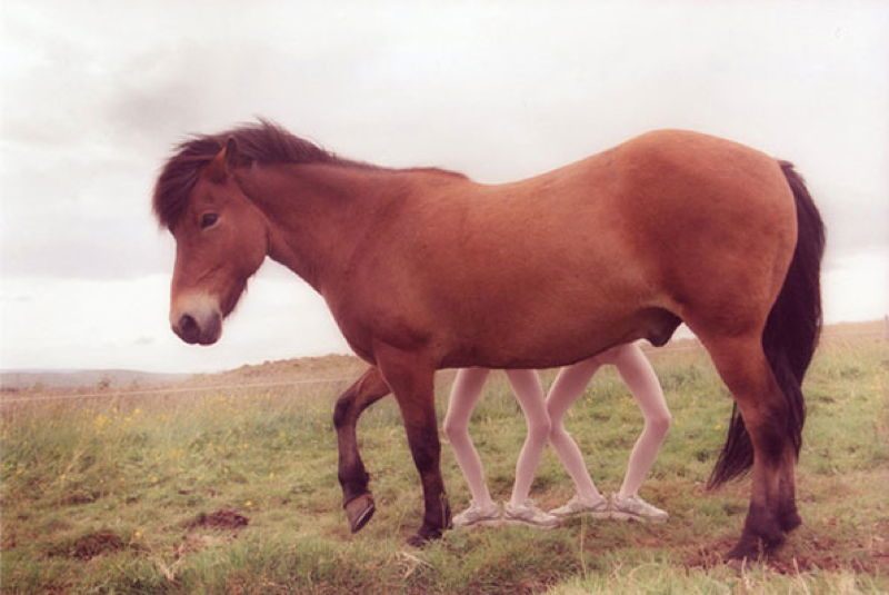 Twins Horse