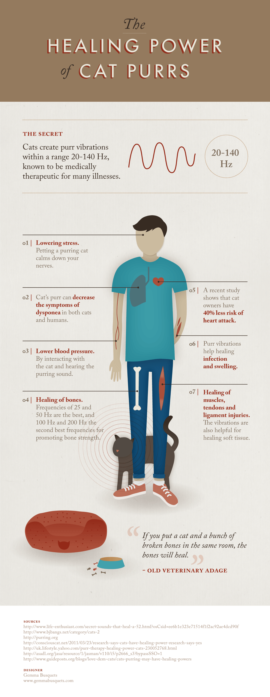 Cat Purr Infograph
